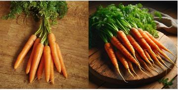 Two images of carrots sit side by side. The image of the left, which shows a bunch of carrots with tops still attached, is taken by a person. The image on the right, which is those same carrots but enhanced, is created by AI